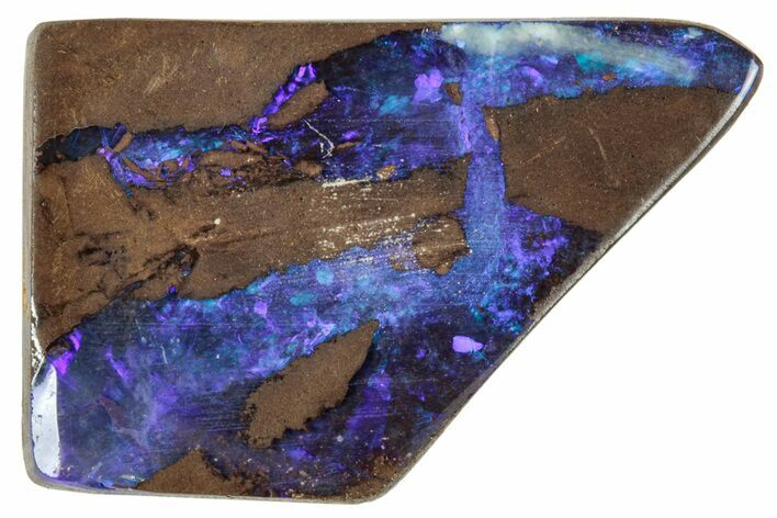 Electric Purple Boulder Opal Specimen - Queensland, Australia #314604